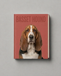 Basset Hound