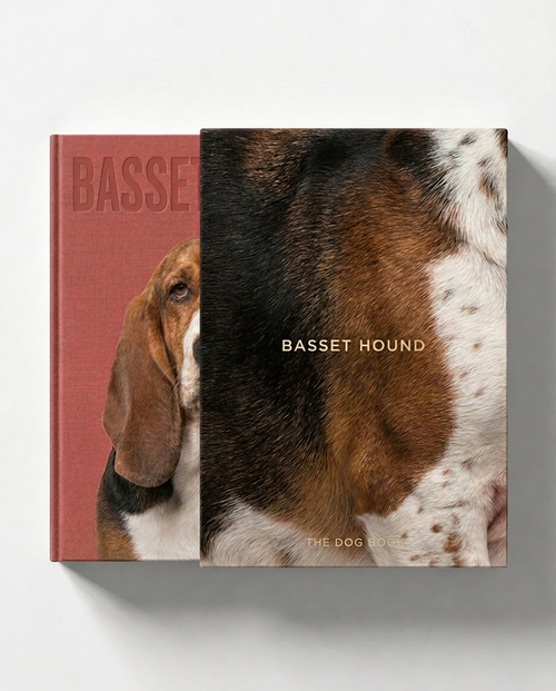 Basset Hound