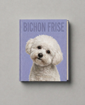 Bichon Frise