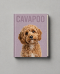 Cavapoo