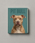 Pit Bull