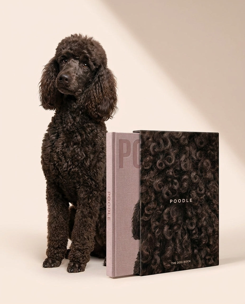 Poodle