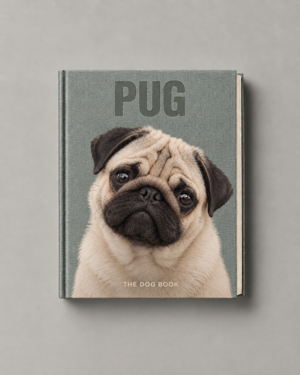 Pug