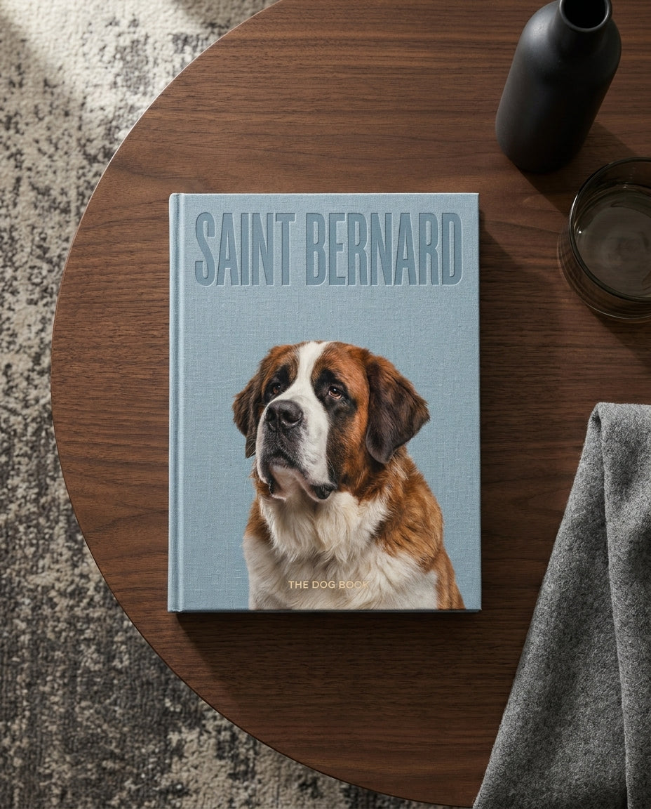 Saint Bernard