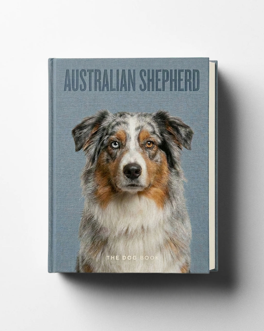 Australian Shepherd
