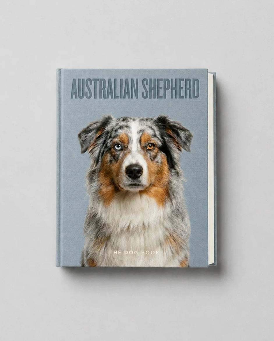 Australian Shepherd