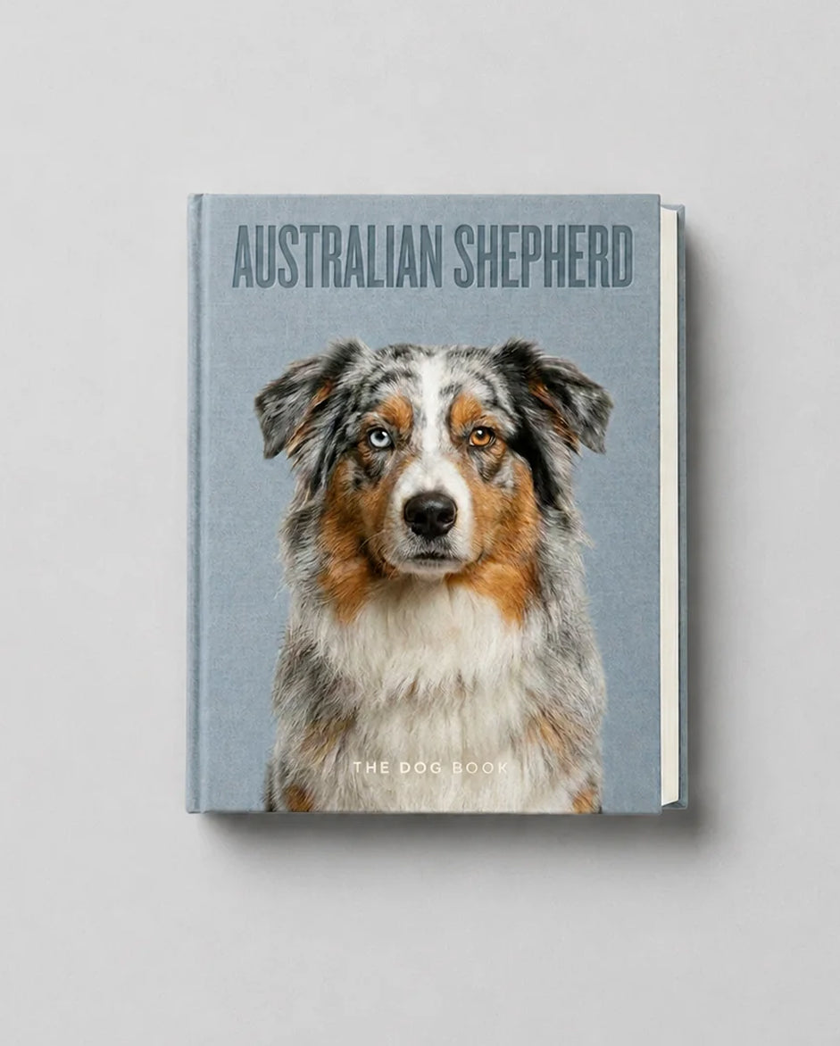 Australian Shepherd