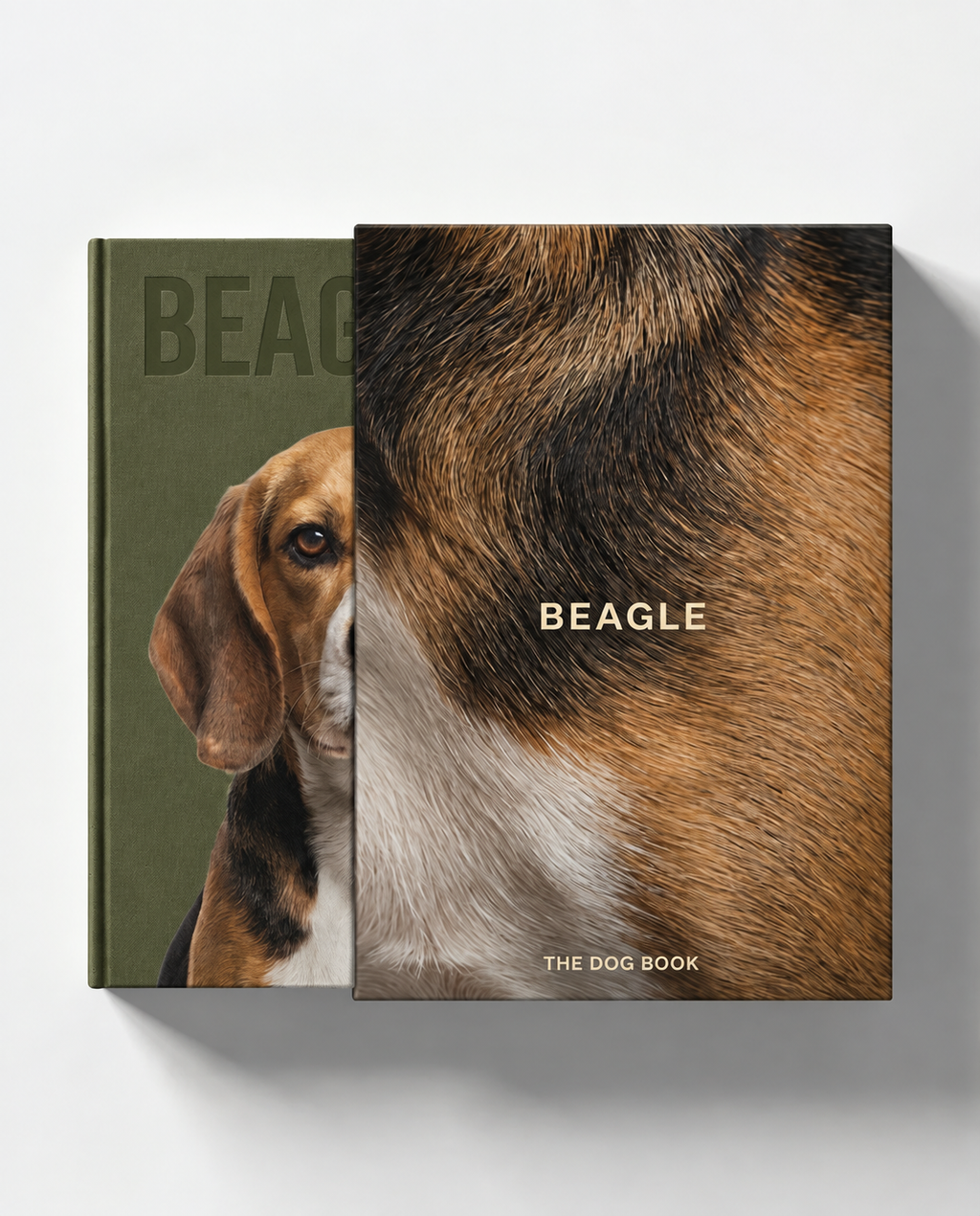 Beagle