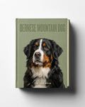 Bernese Mountain