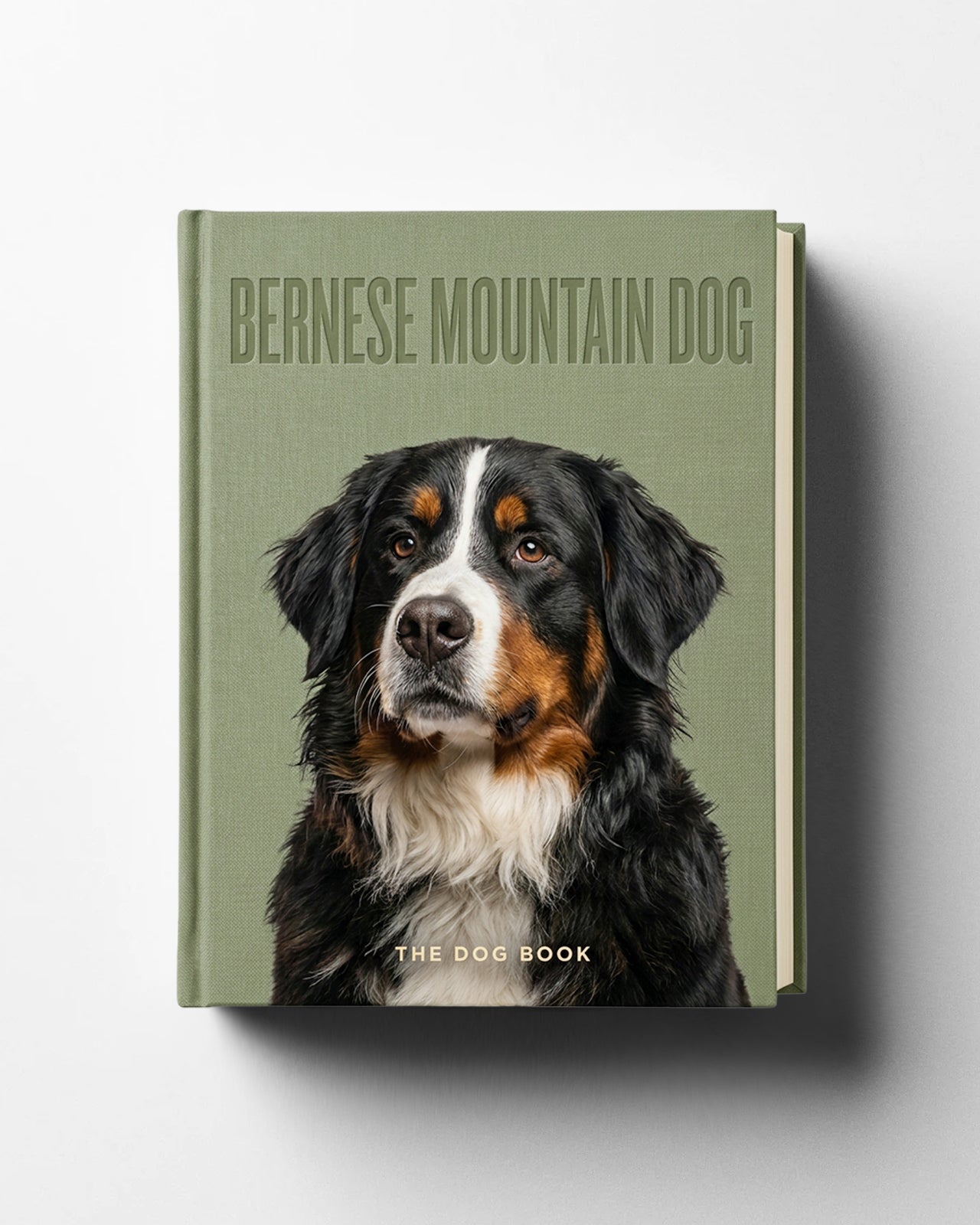 Bernese Mountain