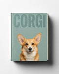 Corgi