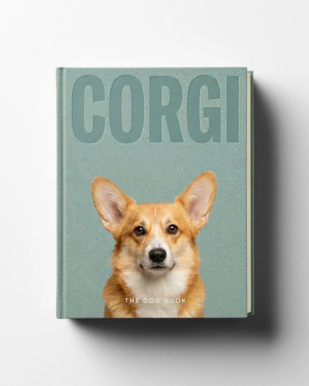 Corgi