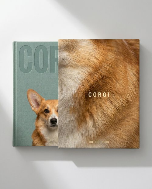 Corgi