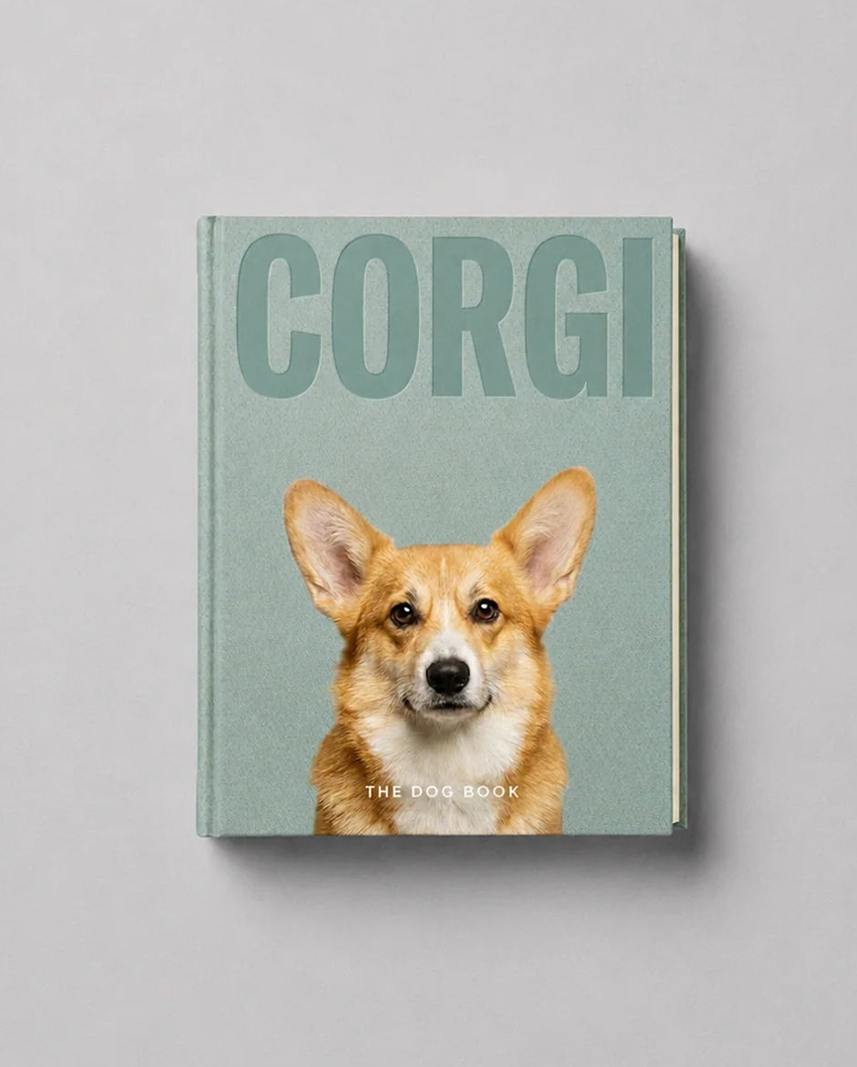 Corgi