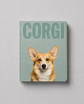 Corgi
