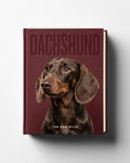 Dachshund