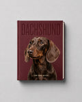 Dachshund