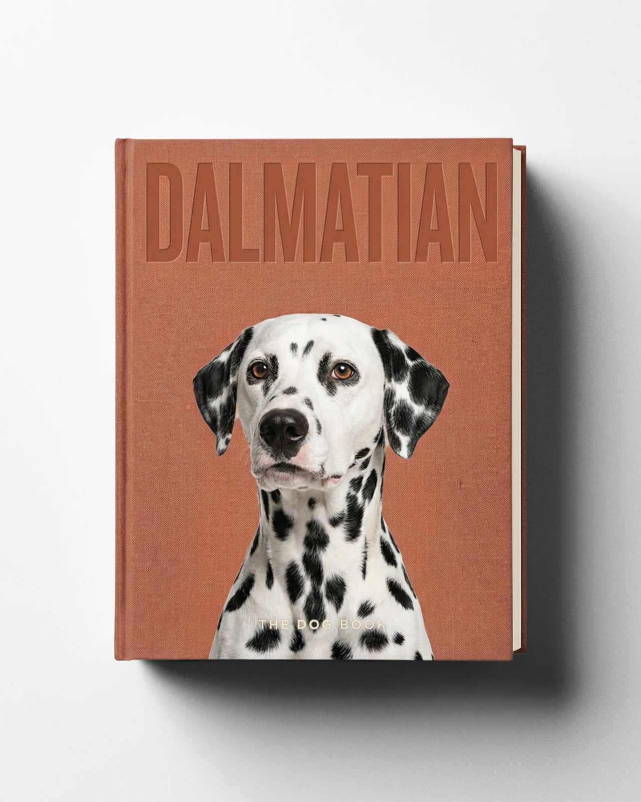 Dalmatian