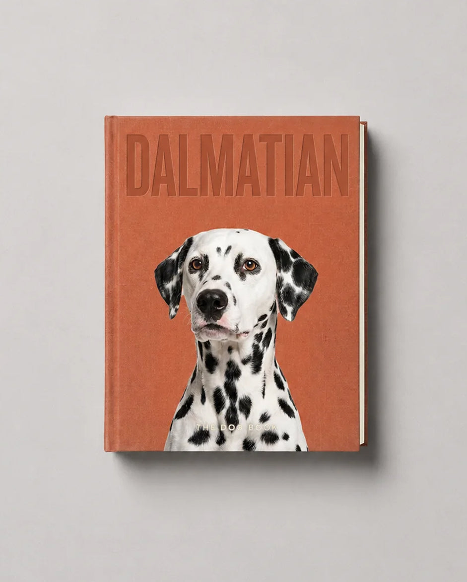 Dalmatian
