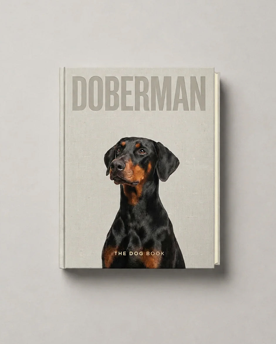 Doberman