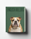 English Bulldog