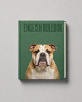 English Bulldog