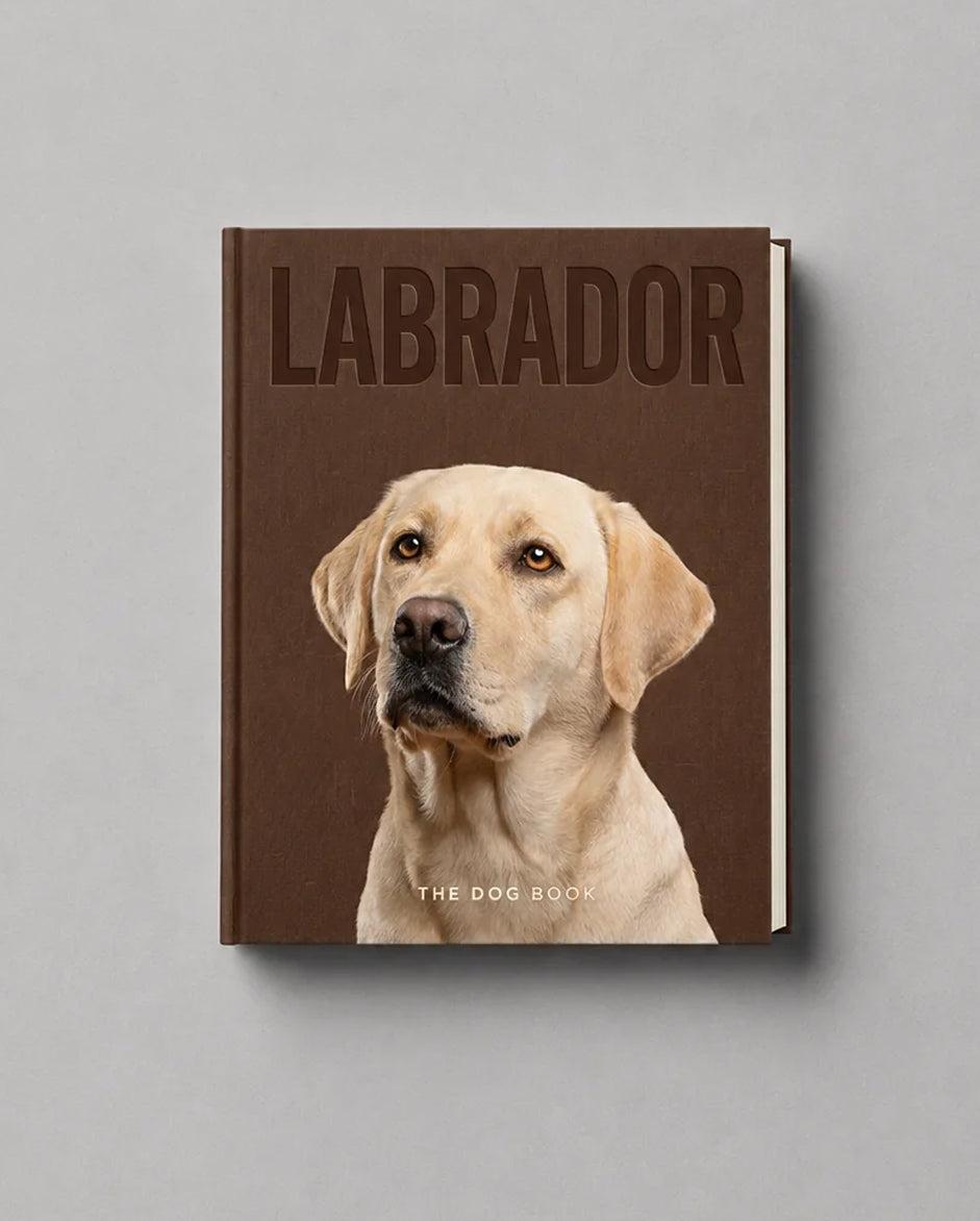 Labrador