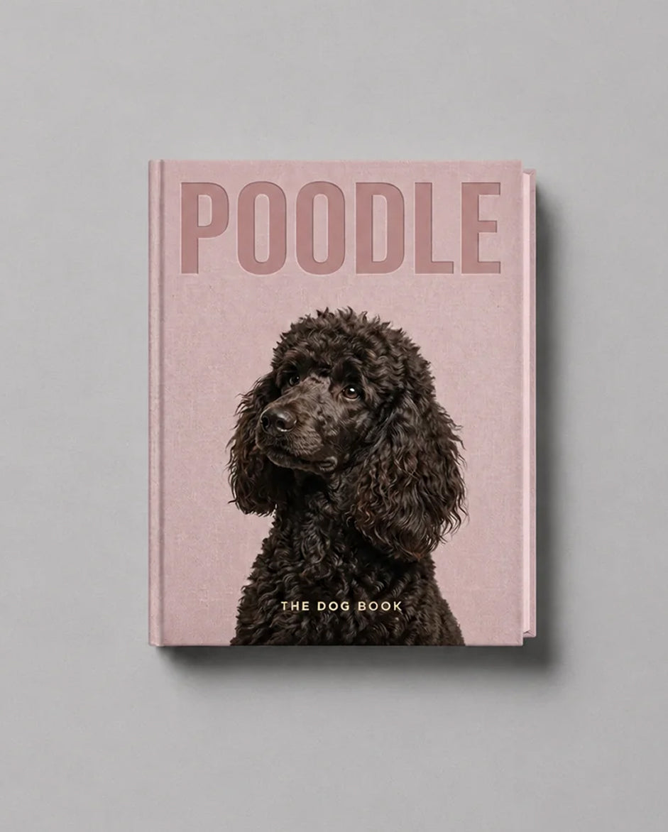 Poodle