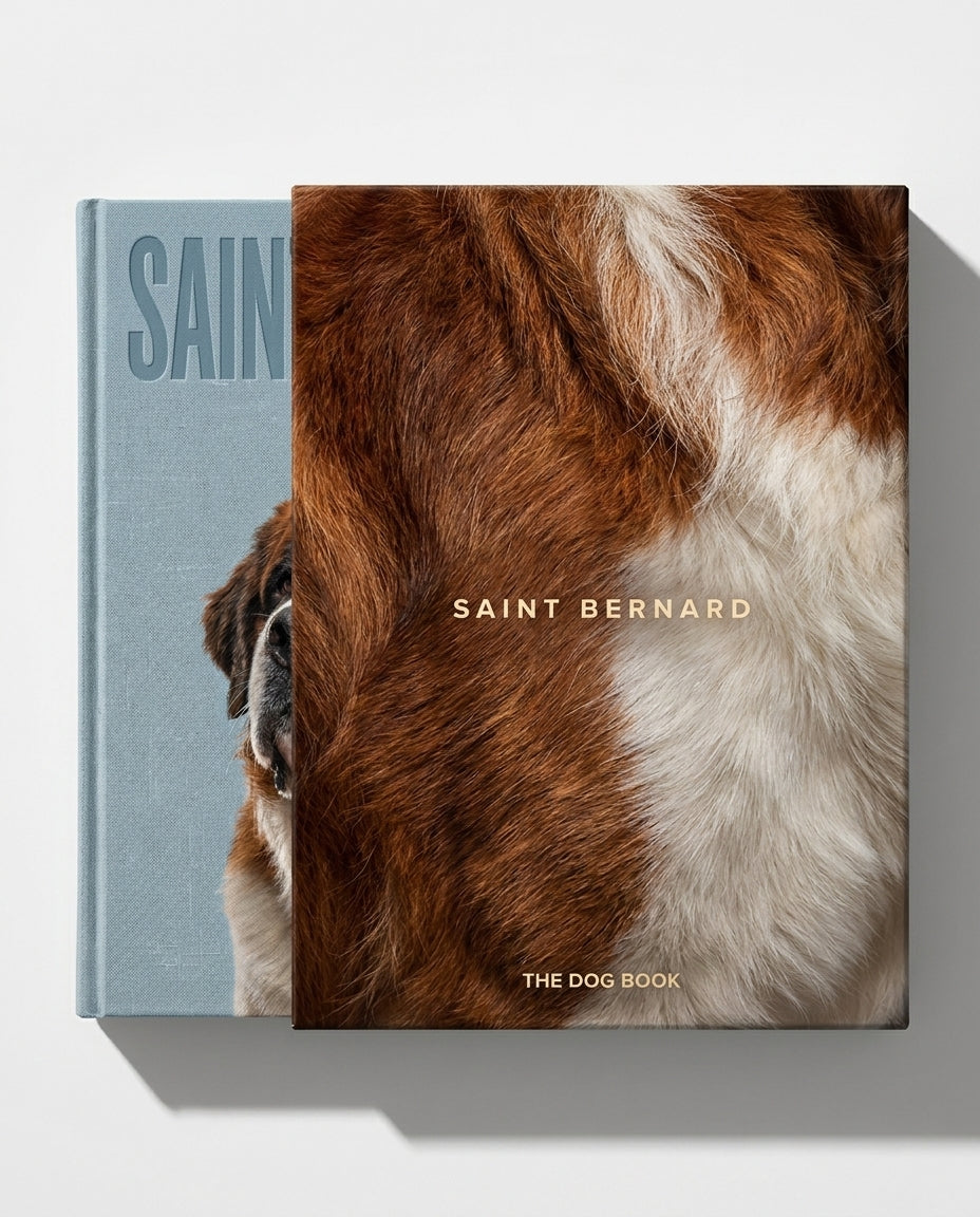 Saint Bernard