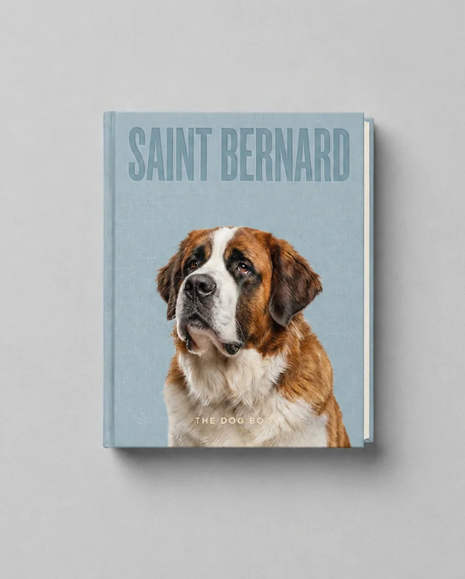 Saint Bernard