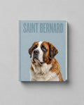 Saint Bernard